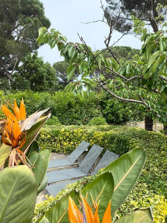 Villa Domaine Font Mourier Cogolin Luaran gambar